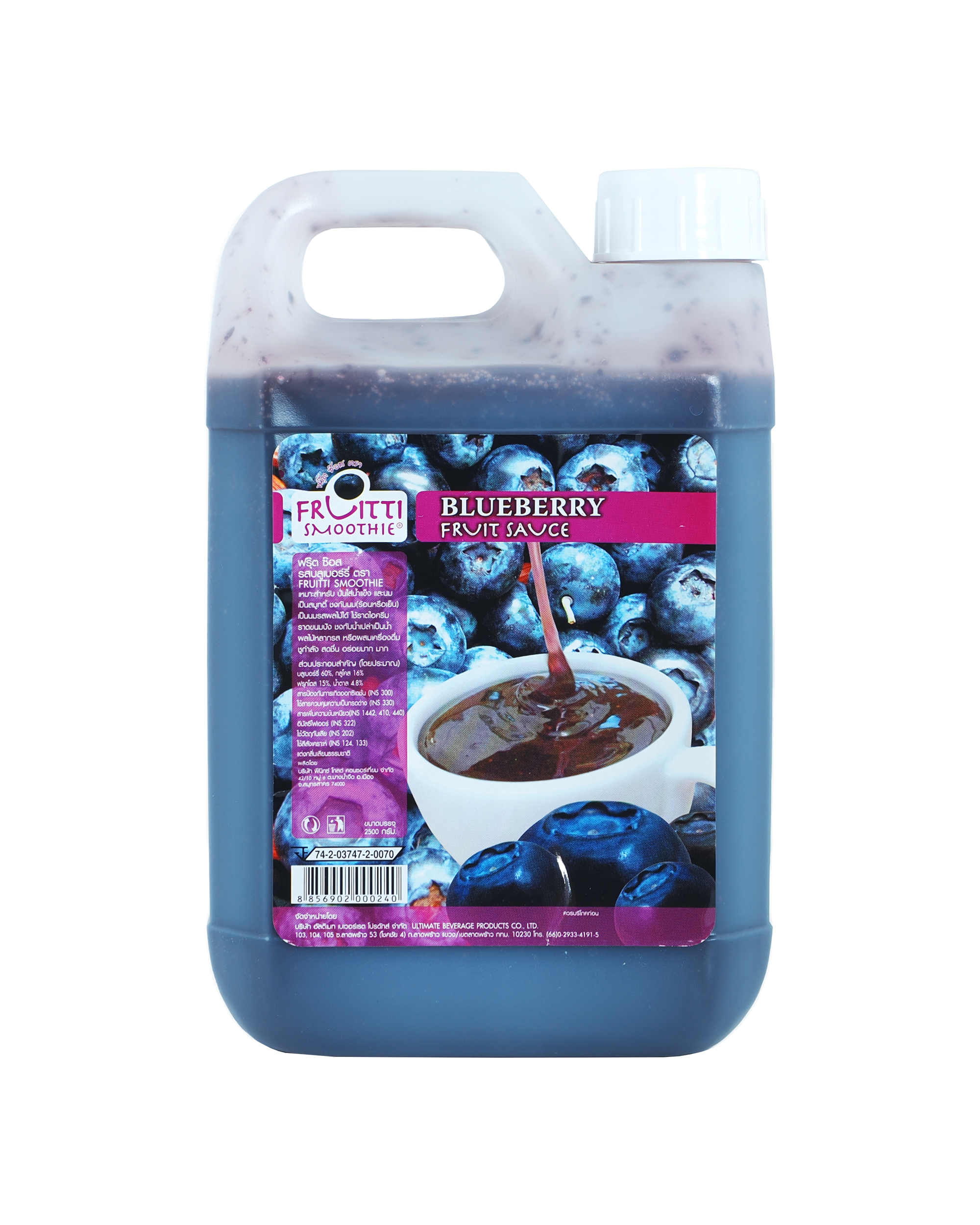 Blueberry Smoothie - Davinci Premium Syrup